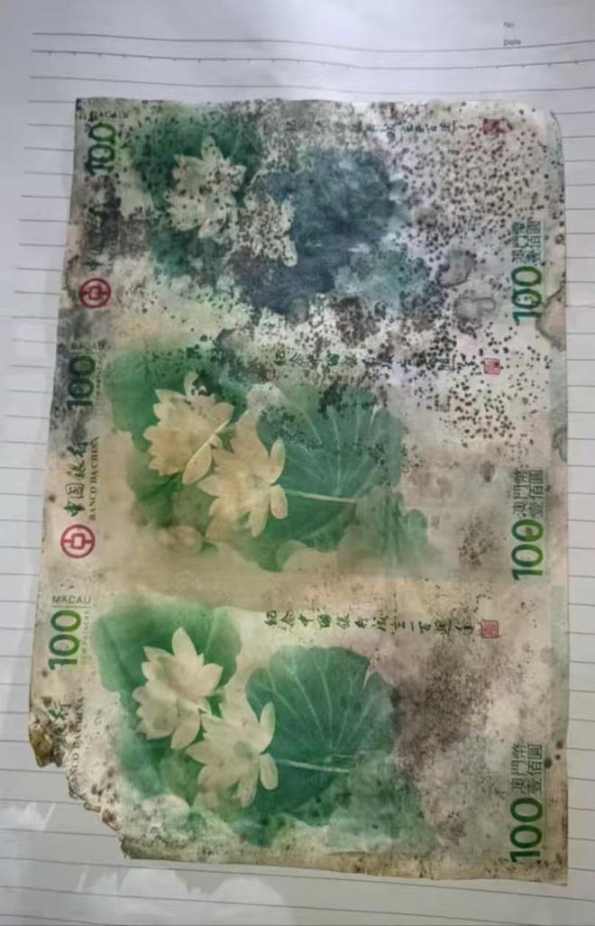 致霉变收藏者需重视保管方法开元棋牌纪念钞保存不当导(图2)